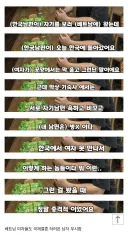 국제결혼하는 베트남 여자들 속내