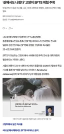 ‘삵에서도 나왔다’ 고양이 SFTS 위험 주목