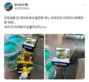 공항에서 발견 된 샤인머스켓