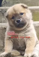 고소를 해도 거짓으로 하면 안되지