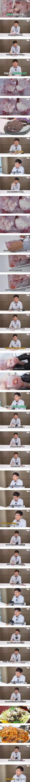 약혐)사람들이 아귀알인줄 알고 먹어왔던것의 정체