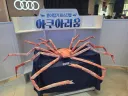 신기신기 종이접기의 세계
