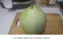 유명하지만, 거의 안먹는 한국 채소 박..