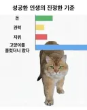 성공한 인생의 진정한 기준.jpg