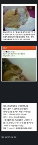 잘자가스 살포