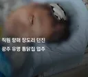 직원 향해 장도리 던진 광주 유명 통닭집 업주