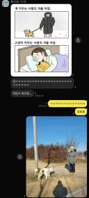 게으른 사람은 특히 키우면 안 되는 동물