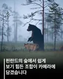 핀란드에서 목격된 우정.jpg