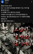 오늘 오후 7시 30분부터 나응식 수의사 고양이 살처분 관련 유튭 라이브 방송하니까 많이 참여하자
