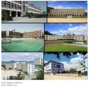 고등학교 행복했다 vs 싫었다