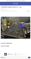 야니네코 현실판 .jpg