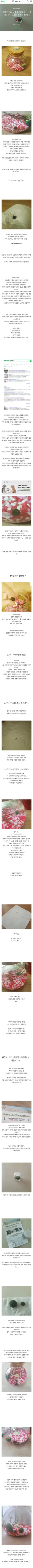 스압) 충격적인 반려 식물의 정체.jpg