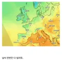 유럽 개새1끼들아.jpg