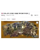 리센느 포토카드때문에 피자 11판 주문한 사람...