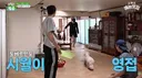 애견 마스터인데 강아지가 자기한테 안오자 짜증난 차승원