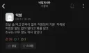 서울대생의 슬픈 전여친 삼행시