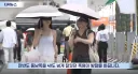 따끈따끈 폭염 근황.jpg