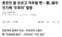 주민 대피 미군 무인기 사건 결말ㅋㅋㅋ