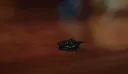 MCU] 스포일러] 이런 전개도 나오면 좋겠긴함