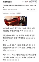 인간 수컷이 음란 그 자체인 이유