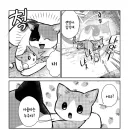암컷을 긁는 마법의 단어