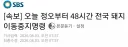 유게이 48시간동안 이동 금지