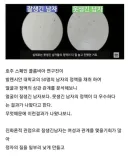 정자왕 커뮤니티
