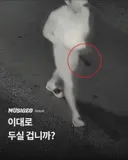 제주에서 주민들 위협한 중국인 2명 구속