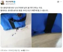 장수풍뎅이를 방수 낚시가방에 넣어 옯기면 안되는 이유