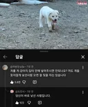"저도 키워주시면 안 되나요ㅠㅠ"