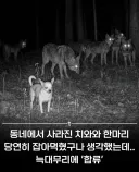 "여기있었구만 인간들. 내가 왜 왔는지 알겠나?"