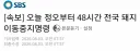 [속보] 8/3부터 전국 돼지 이동중지명령