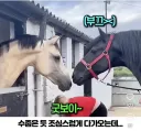 우홋 거기의 아가씨 예쁘네?