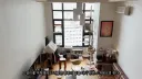 한강 고양이 근황
