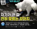 이거 총 들고 있는거 같다
