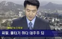주식 짤 - 자게이분들이 댓글 달아 준 소중한 사진들(사용하세여)
