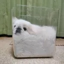 친구 구해보고 싶은데 이렇게 하면 어떰?