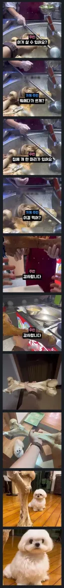 개 주려고 소뼈 달라는 견주