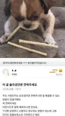 의외로 당근에서 발생한다는 빌런