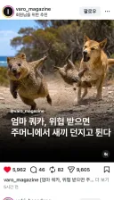엄마 쿼카의 충격적인 행동..