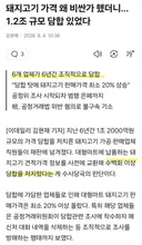 돼지고기도 담합 걸렸다.
