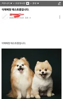 용역들 매크로 계정 돌려서 다시 등장 하겟군요