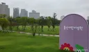 [단독] 마지막 핵심 국유지… 용산어린이정원 주택공급 검토