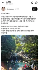 계곡 안전요원들 뭐냐?