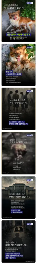 중국에서 일어난 동물학대를 한국에서 시위