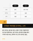 많이 대중화 되었다는 벽지
