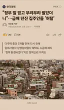아마추어 정부
