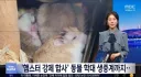 오버워치)래킹볼이 한국을 공격한 이유 떳다.