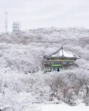 오피셜) 신의 계절ㅋㅋㅋㅋㅋㅋ