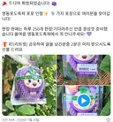영동포도축제 포포인형 최종 패키지